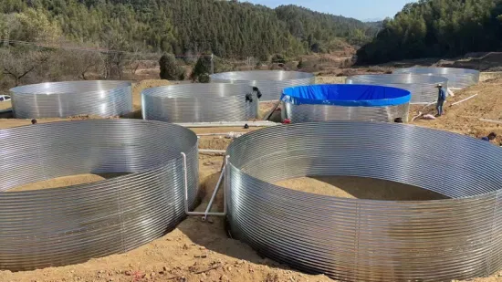 Folha galvanizada de alta qualidade em lona de PVC para aquicultura e viveiro de peixes no atacado