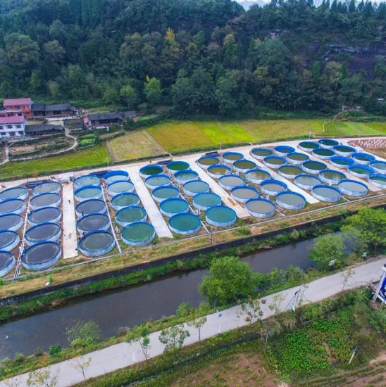 Sistema de aquicultura recirculante por atacado Lagoa de peixes de aquicultura em PVC dobrável